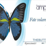 The Butterfly Effect