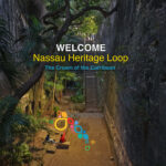 Cosa il Museo Nazionale delle Bahamas ha trovato in un'impresa del Lazio